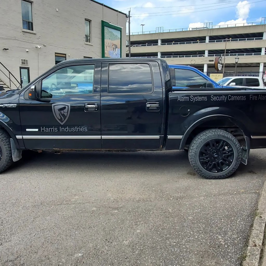 Vincent Signs | 198 Northline Rd, Fenelon Falls, ON K0M 1N0, Canada | Phone: (705) 928-3094