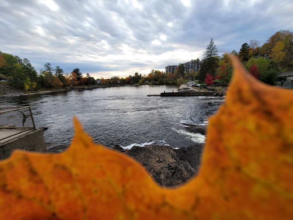 Woodchester | 15 King St, Bracebridge, ON P1L 1H4, Canada | Phone: (705) 645-5264