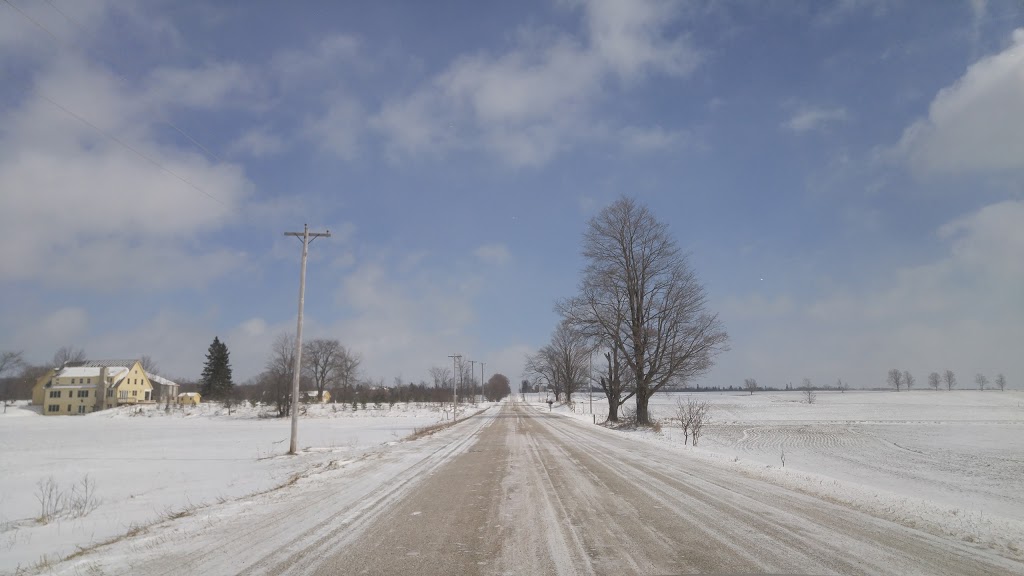 Saoirse Cnoc | 385073 Concession Rd 4, Flesherton, ON N0C 1E0, Canada | Phone: (416) 953-4182