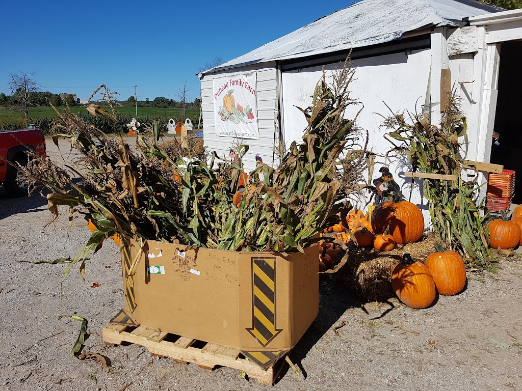Dubeau Family Farm | 5 Concession Rd 11 E, Tiny, ON L0L 2J0, Canada | Phone: (705) 526-9970