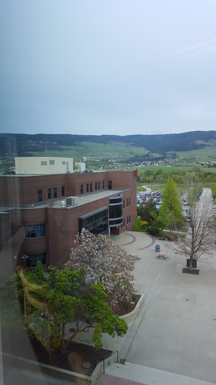 UBC Okanagan Library | 3287 University Way, Kelowna, BC V1V 1V7, Canada | Phone: (250) 807-9107