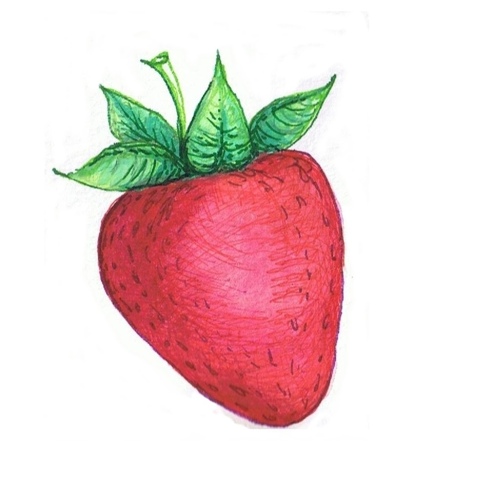 Fenwick Berry Farm: Office | 1367 Balfour St, Fenwick, ON L0S 1C0, Canada | Phone: (905) 892-8231