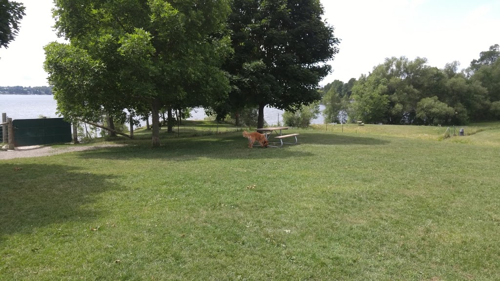 Kingston dog park | Unnamed Rd, Kingston, ON K0H 1Y0, Canada