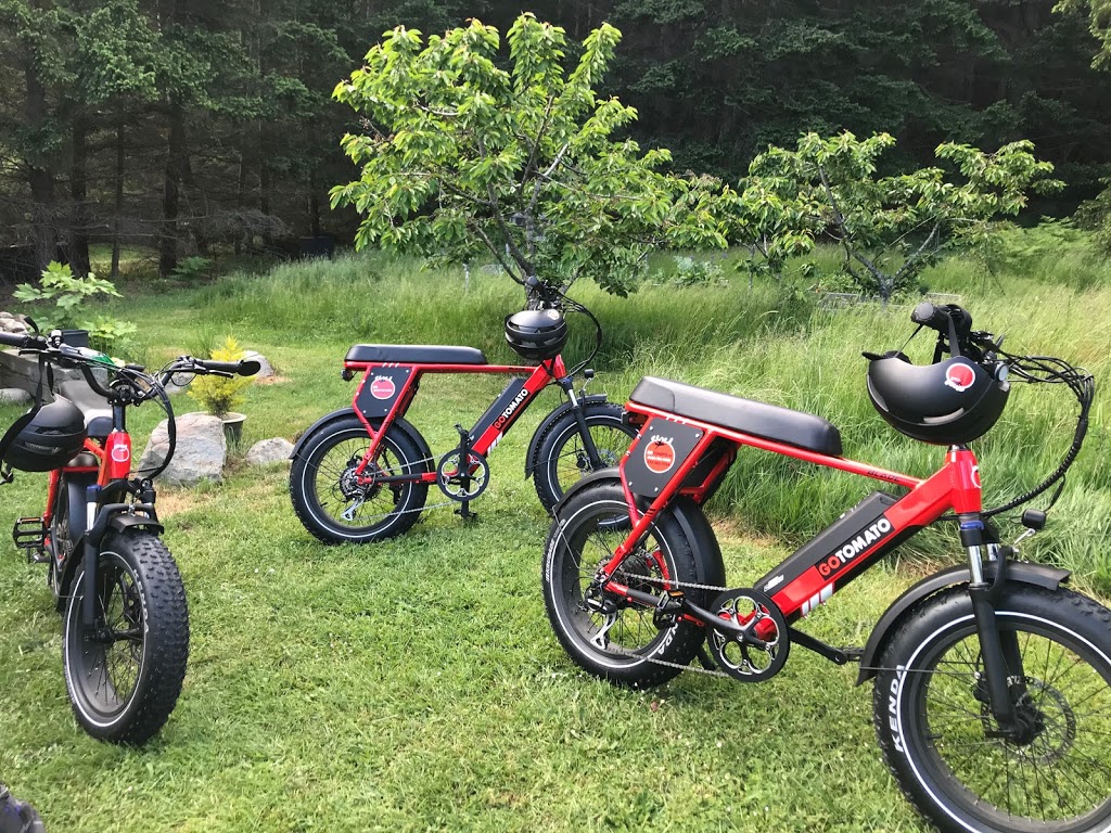 GoTomato.ca | 455 Dixon Rd, Mayne Island, BC V0N 2J2, Canada | Phone: (672) 882-9766