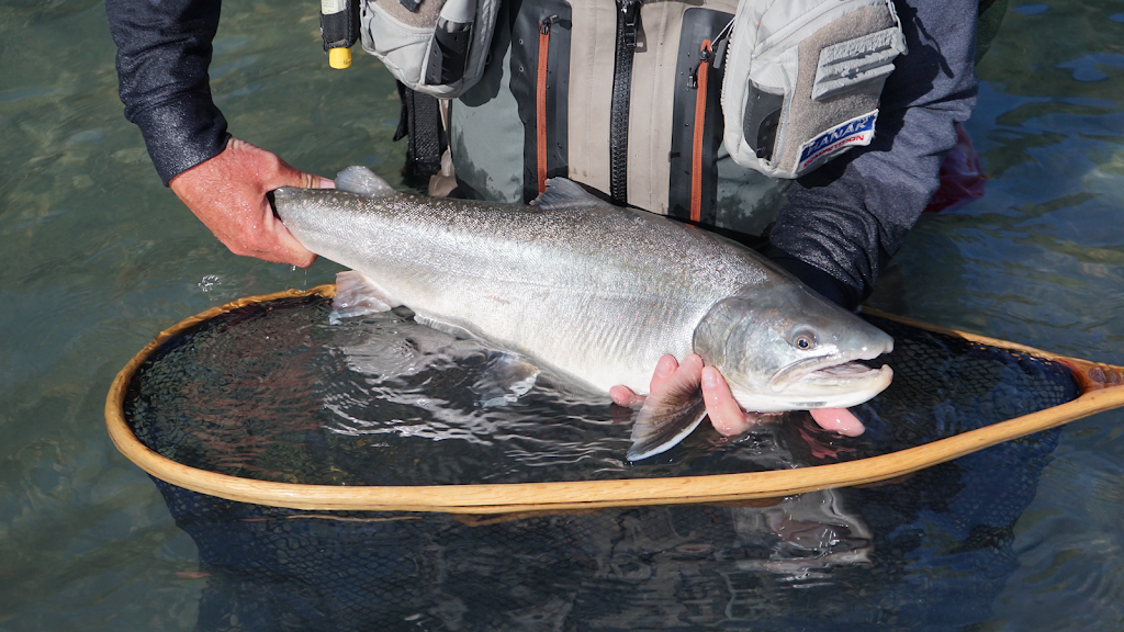 Valley Fishing Guides Ltd. | 41955 Birken Rd, Brackendale, BC V0N 1H0, Canada | Phone: (604) 938-4458