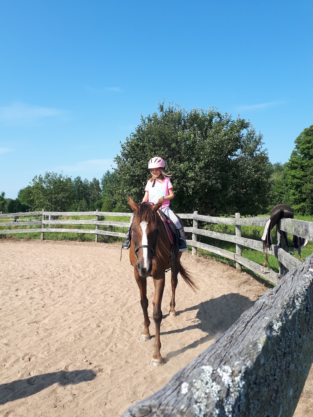 R & J Stables | 565 Kirkfield Rd, Woodville, ON K0M 2T0, Canada | Phone: (647) 802-2125