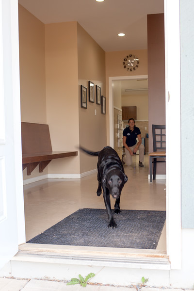 Dickinson & Baird Veterinary Hospital | 141 William Bell Dr, Hampton, NB E5N 6B4, Canada | Phone: (506) 832-3192