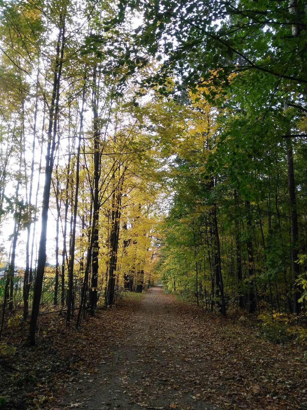 Hall Tract | 15681 McCowan Rd, Newmarket, ON L3Y 4W1, Canada