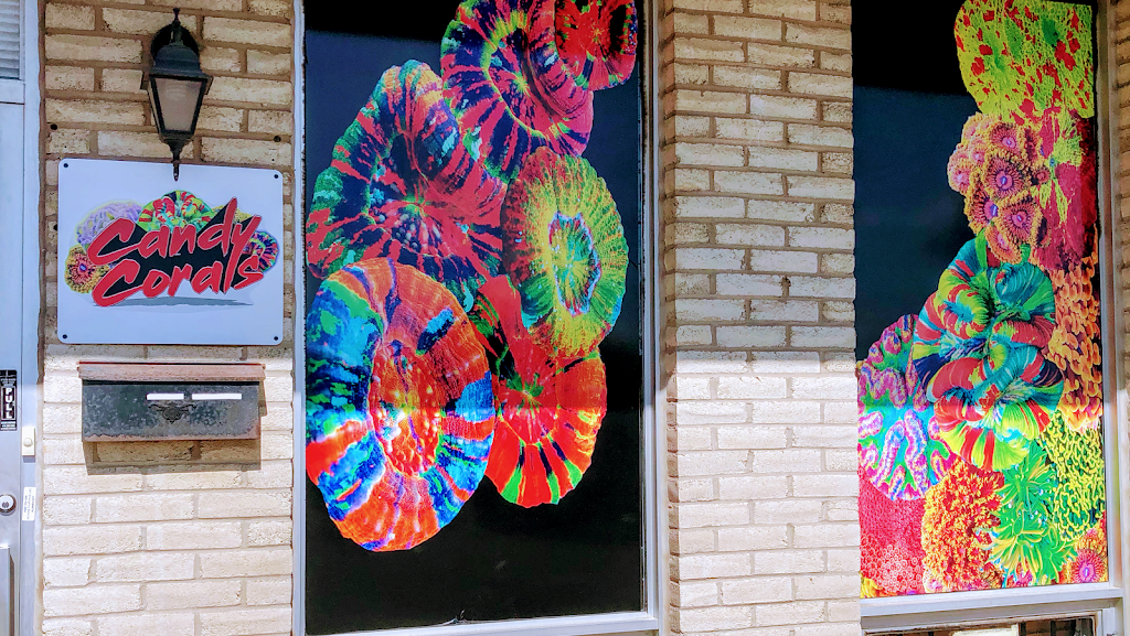 Candy Corals | 1260 Fewster Dr Unit #9, Mississauga, ON L4W 1A5, Canada | Phone: (416) 839-7499