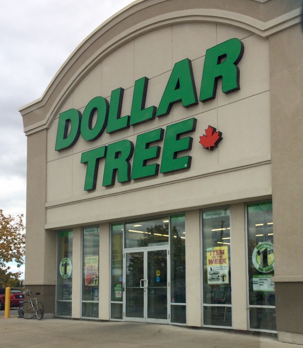 Dollar Tree | 2970 County Rd 43, Kemptville, ON K0G 1J0, Canada | Phone: (613) 258-2882