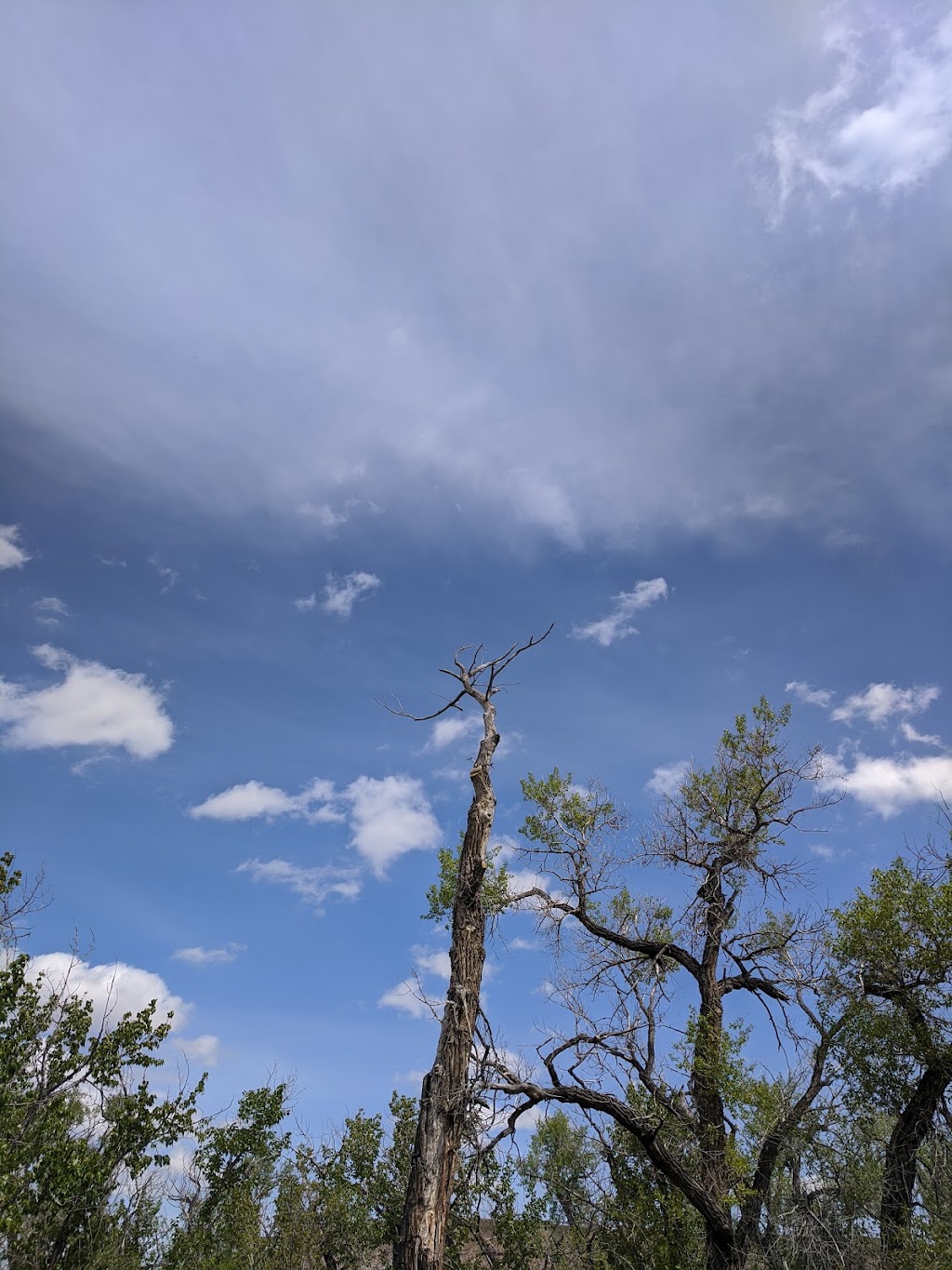 Woolford Provincial Park | Township Rd 30A, Lethbridge, AB T1H 0H5, Canada | Phone: (403) 382-4097