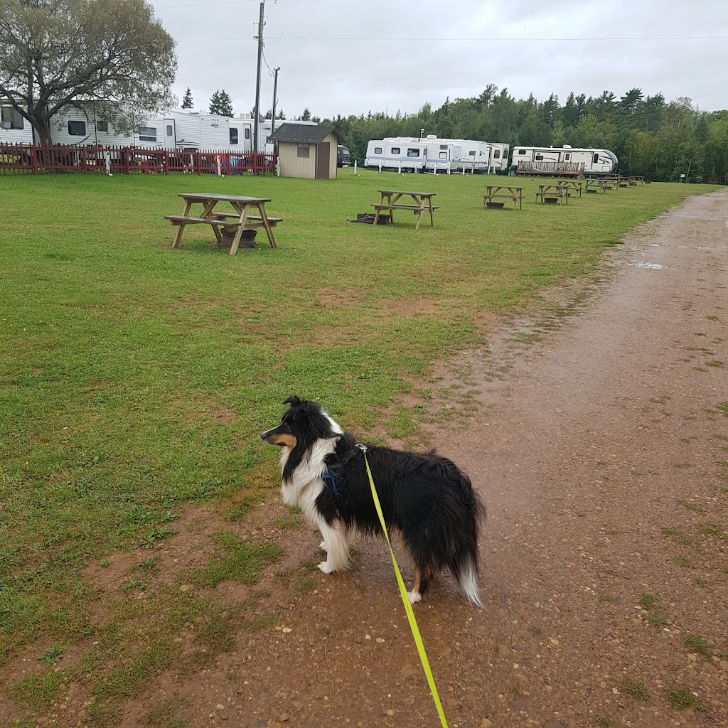 Seal Cove Campground | 87 Mink River Rd, Montague, PE C0A 1R0, Canada | Phone: (902) 962-2745