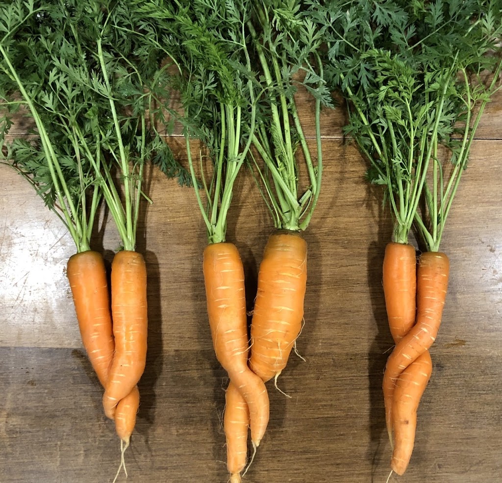 CloverCroft Farm | 285 Ayr Rd, Paris, ON N3L 3E2, Canada | Phone: (226) 922-7892