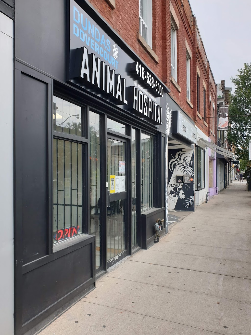 Dundas Dovercourt Animal Hospital | 1452 Dundas St W, Toronto, ON M6J 1Y2, Canada | Phone: (416) 538-6000