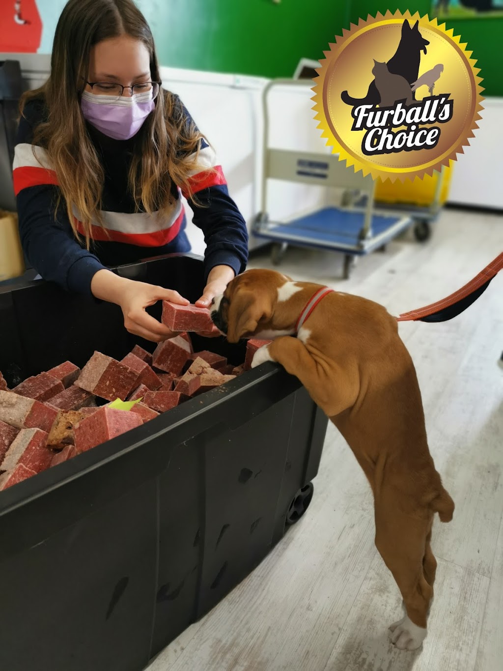 Furballs Choice | 300 Bell Blvd, Belleville, ON K8P 5H7, Canada | Phone: (613) 743-3600