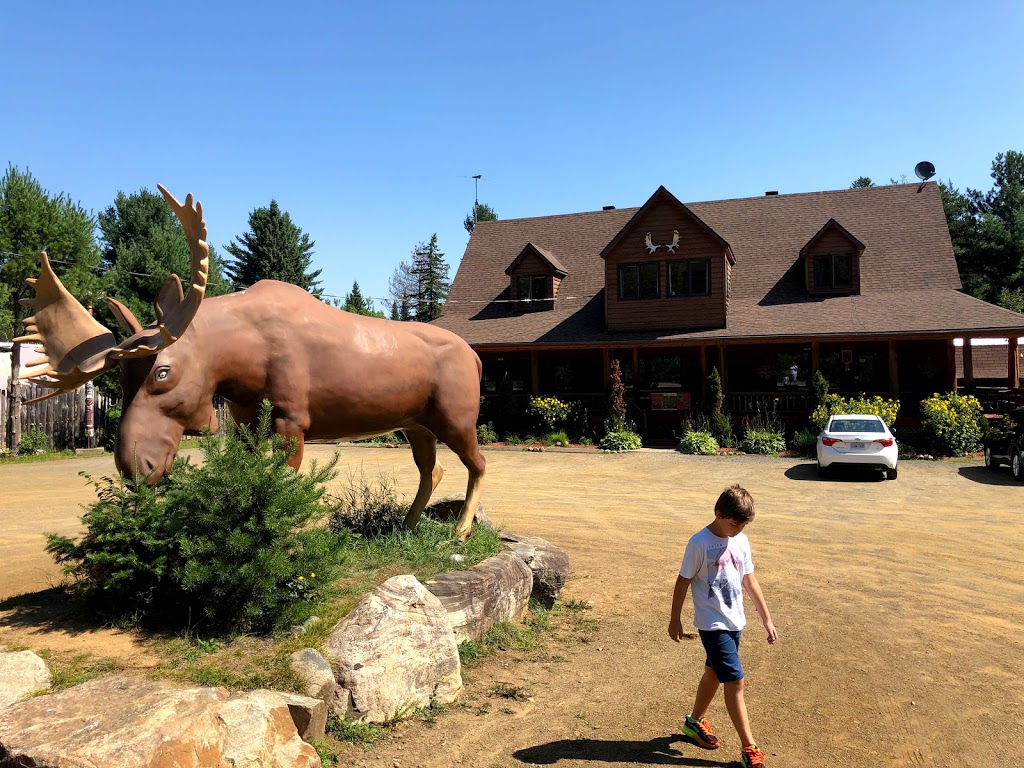 Auberge du Trappeur | 2120 Chemin St François, Saint-Mathieu-du-Parc, QC G0X 1N0, Canada | Phone: (866) 356-2600