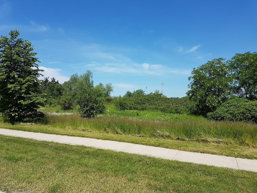 Meadowvale Sports Park | 2255 Meadowvale Blvd, Mississauga, ON L5N 5P9, Canada | Phone: (905) 615-4100