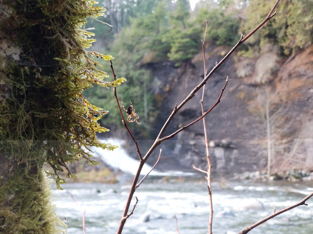 Banon Creek Falls | North Cowichan, BC V0R 1K0, Canada