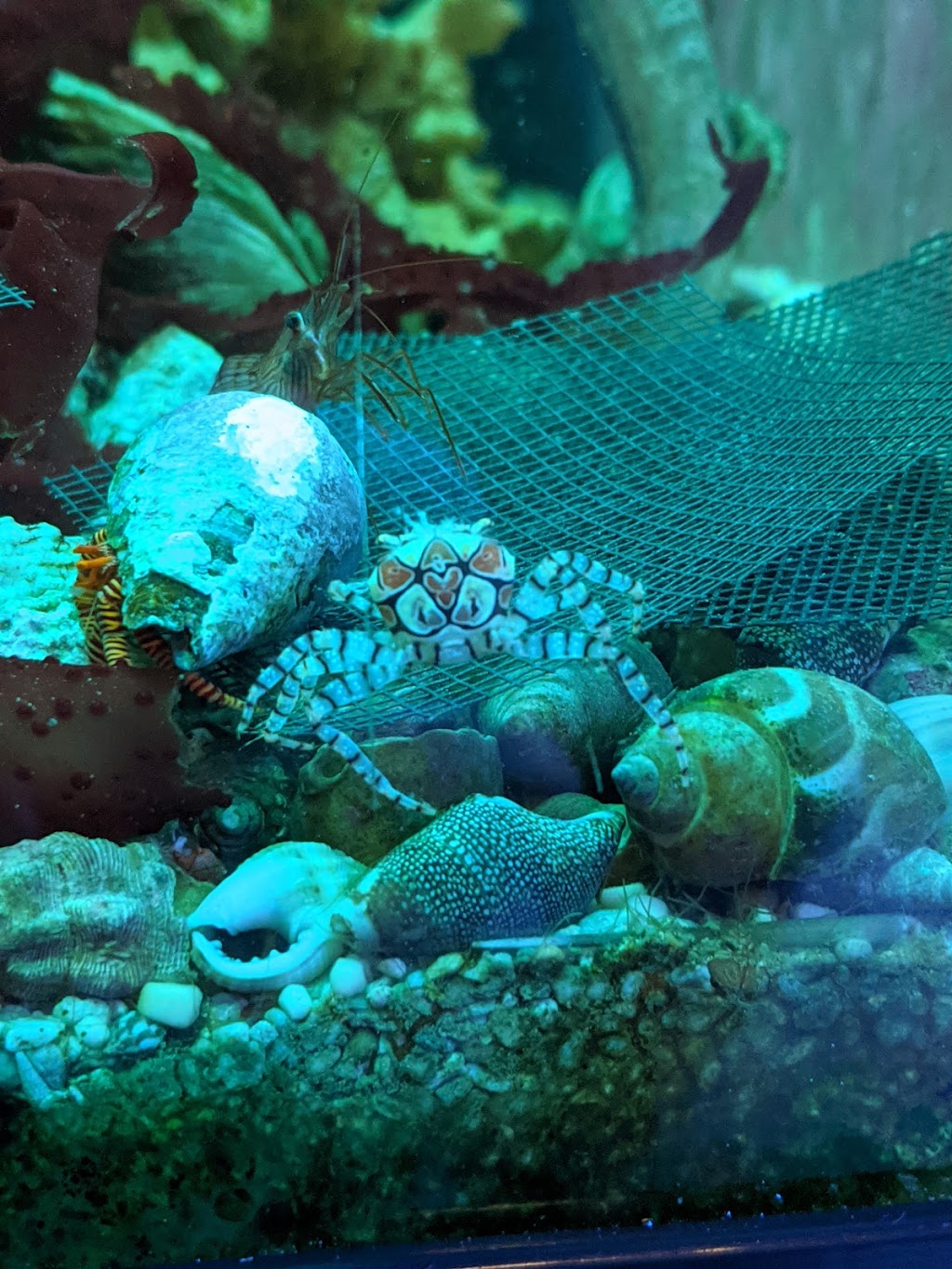 The Marine Experience | 10124 127 Ave NW, Edmonton, AB T5E 0B7, Canada | Phone: (587) 497-2742