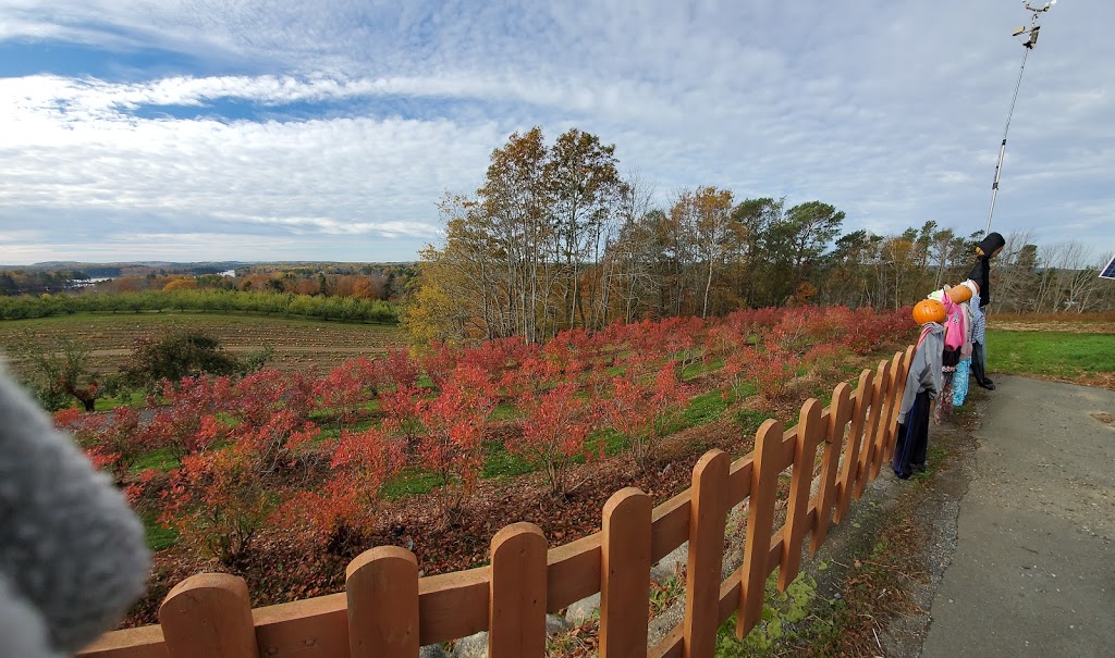 Indian Garden Farms | 15401 Nova Scotia Trunk 3, Hebbville, NS B4V 6X7, Canada | Phone: (902) 543-9899