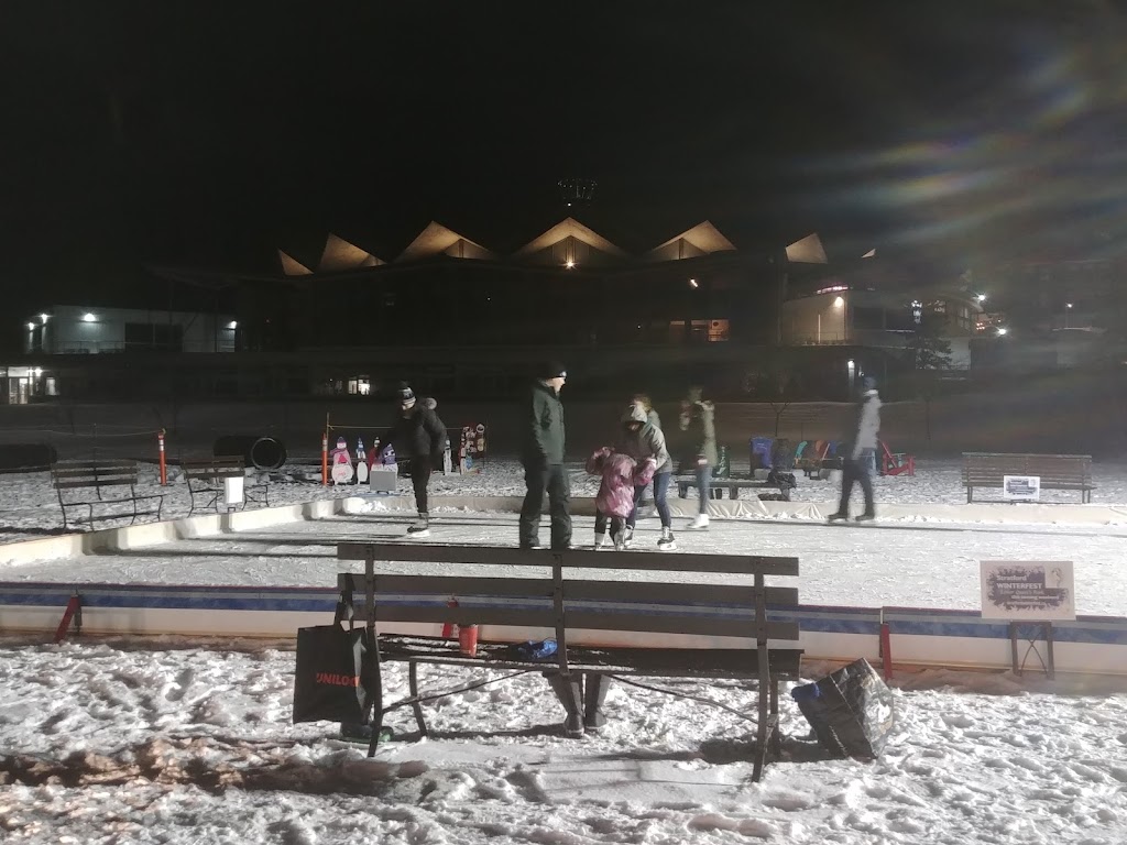 Ultimate Outdoor Rink | 3346 Road 119 (HWY 7), Saint Pauls Station, ON N0K 1V0, Canada | Phone: (519) 273-3551