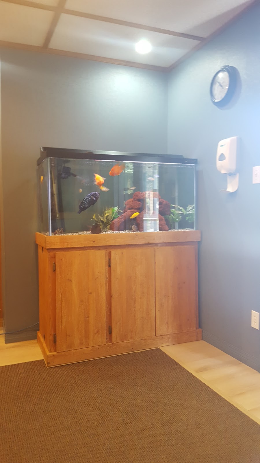 Carmi Dental | 725 Carmi Ave #101, Penticton, BC V2A 3G8, Canada | Phone: (250) 493-0748