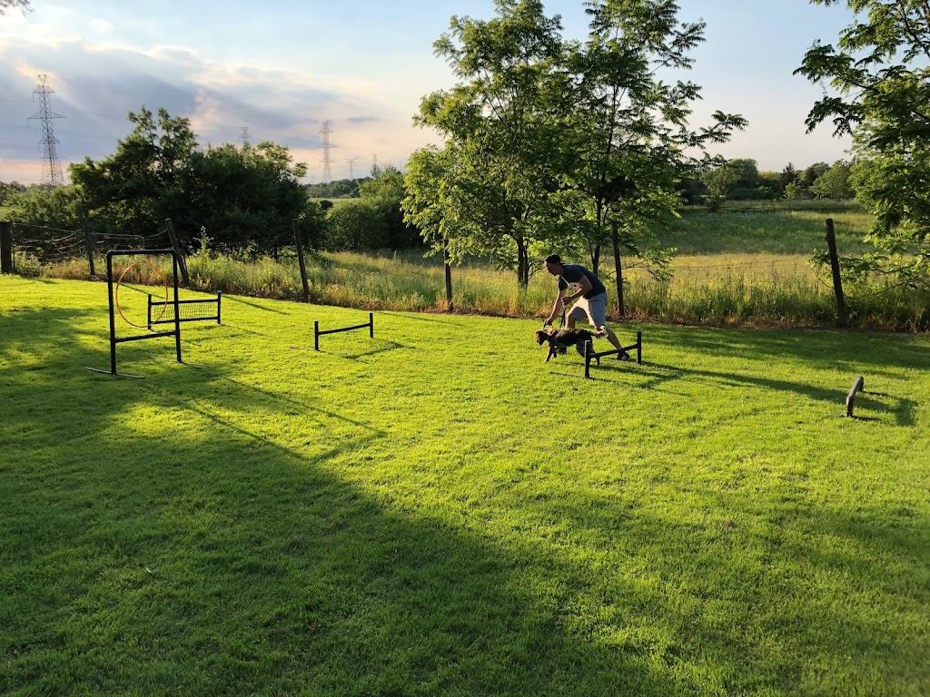 GoodHeart Dog Training Centre | 1469 Sawmill Rd, Ancaster, ON L9G 3L1, Canada | Phone: (905) 304-4284