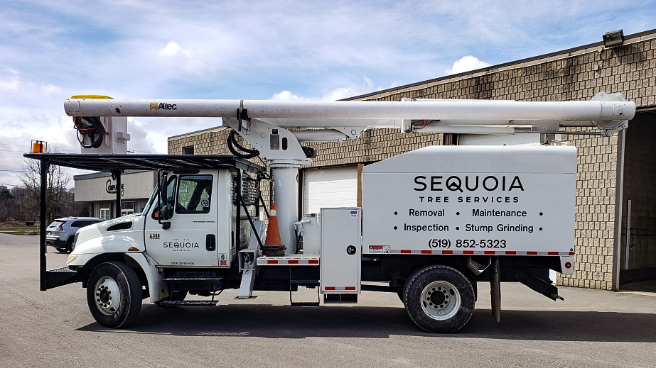 Sequoia Tree Services | 14719 Bayham Dr, Tillsonburg, ON N4G 4G8, Canada | Phone: (519) 852-5323