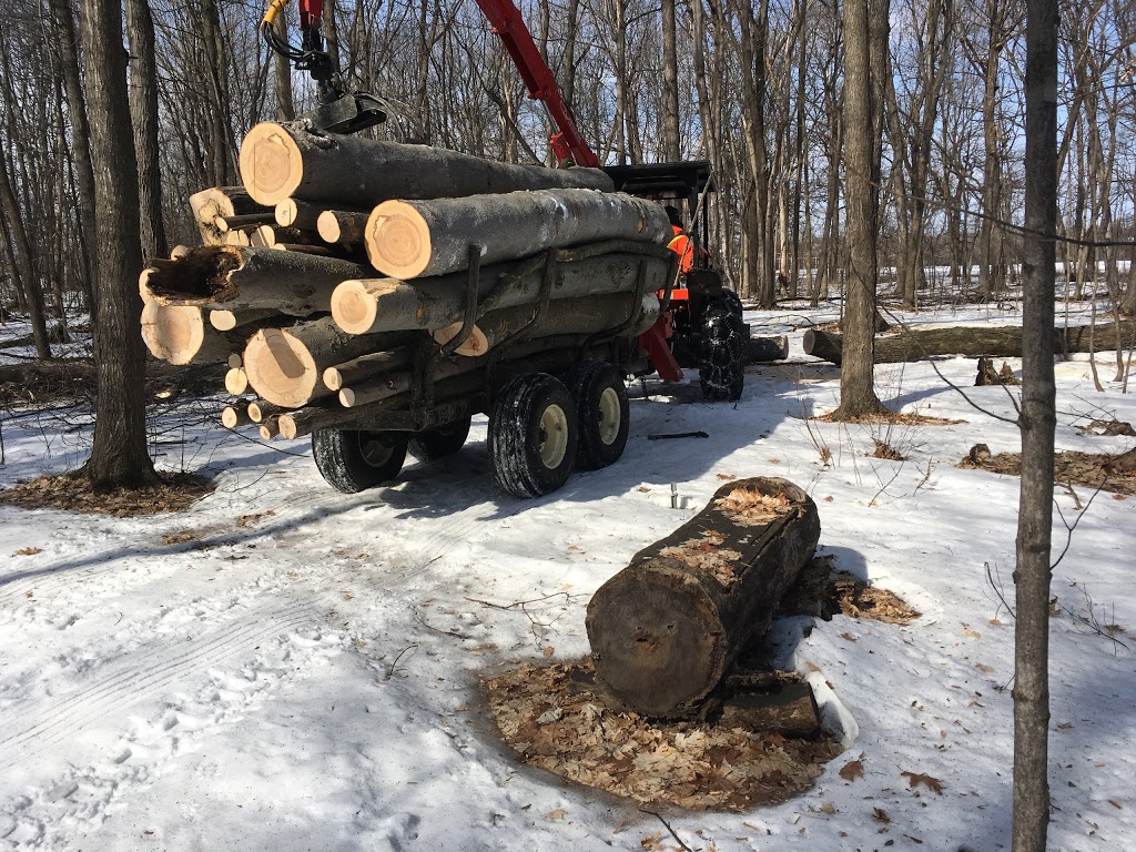 Ressources Forestières Biotiques Inc | 965 Route Principale, Sainte-Mélanie, QC J0K 3A0, Canada | Phone: (450) 960-2130