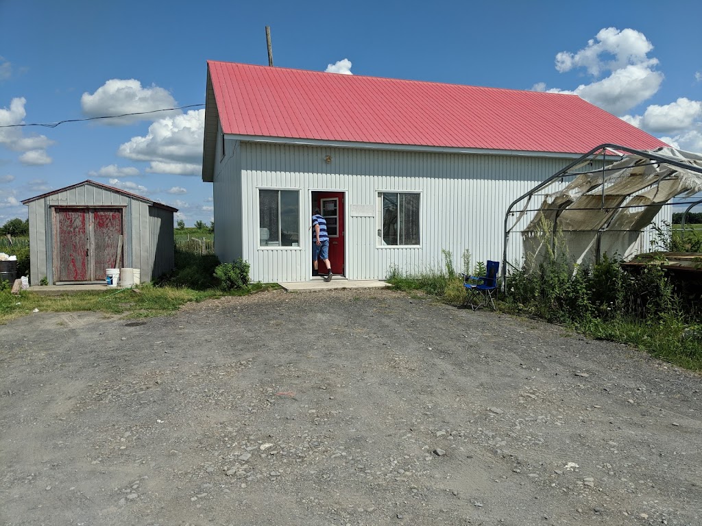 Framboisière Luneau | 1462 10e Rang O, Princeville, QC G6L 4C5, Canada | Phone: (819) 364-7779