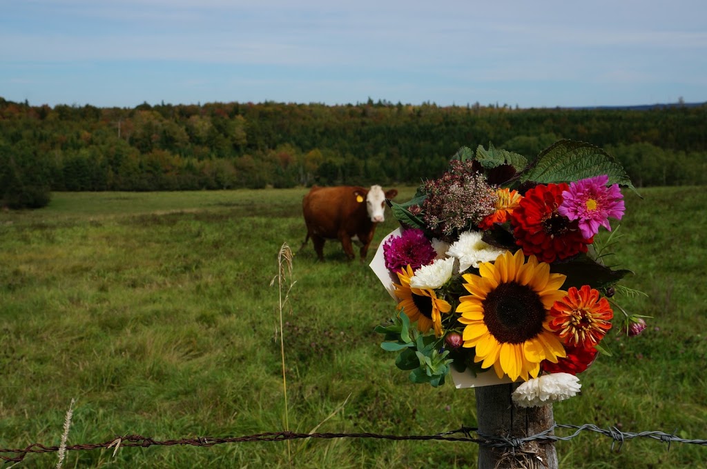 Marshdale Farms | 2731 White Hill Rd, Hopewell, NS B0K 1C0, Canada | Phone: (902) 923-2323