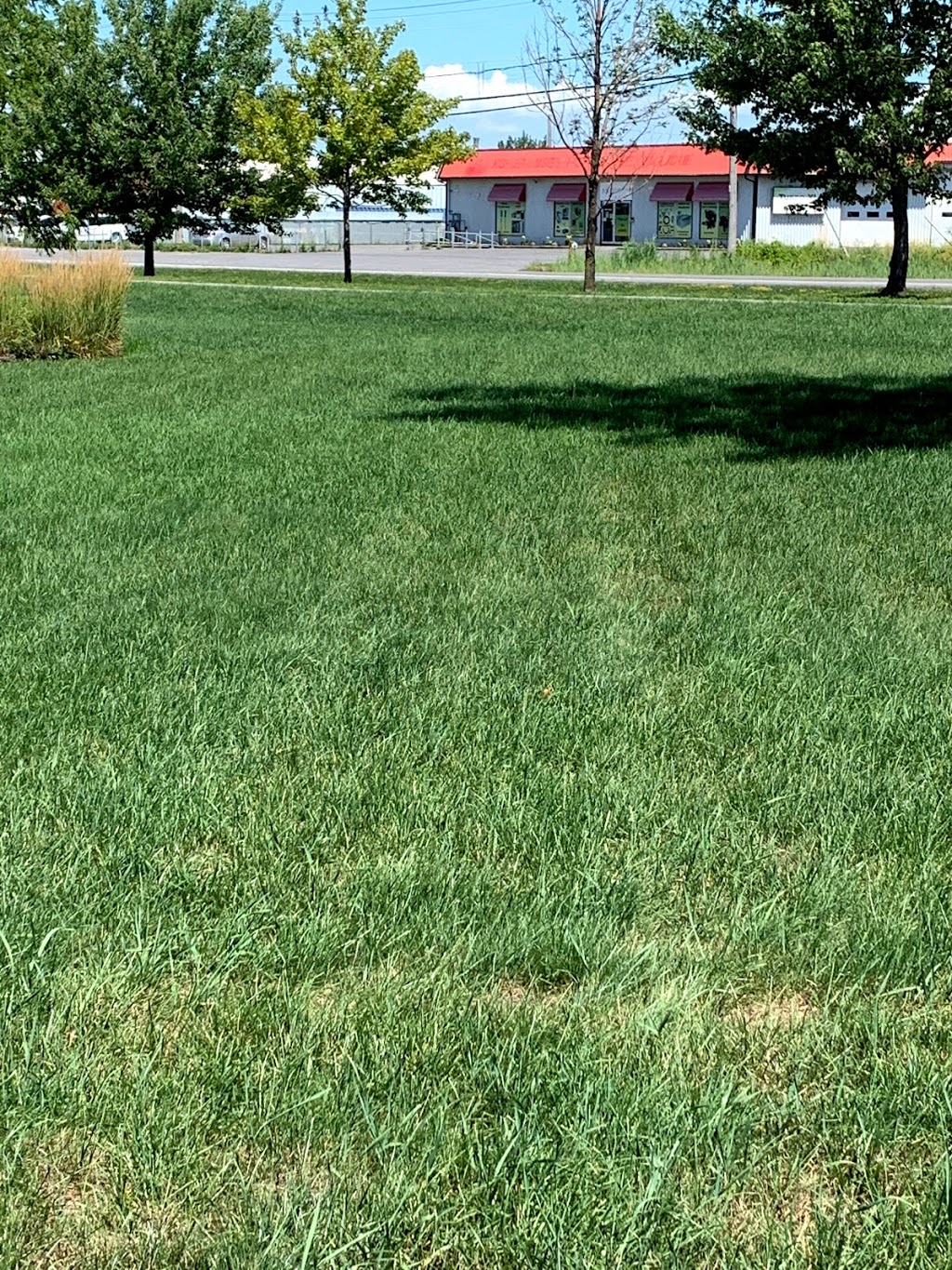Spray Green - Traitement de pelouse et extermination | 111 Rue Industrielle, Delson, QC J5B 1V9, Canada | Phone: (450) 845-3434