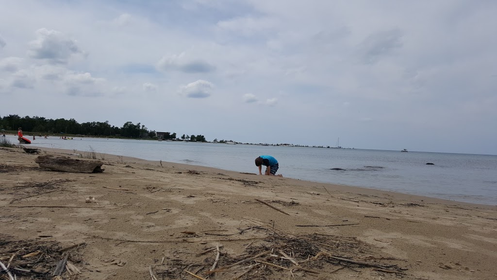 Dust Busters | 52 Saugeen Beach Rd, Port Elgin, ON N0H 2C5, Canada | Phone: (306) 721-3722