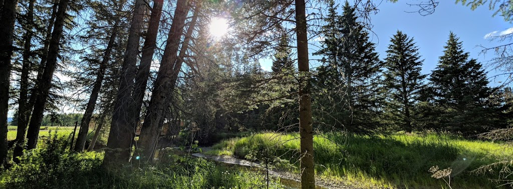 Boundary RV Park | AB-591, Caroline, AB T0M 0M0, Canada | Phone: (403) 722-2014