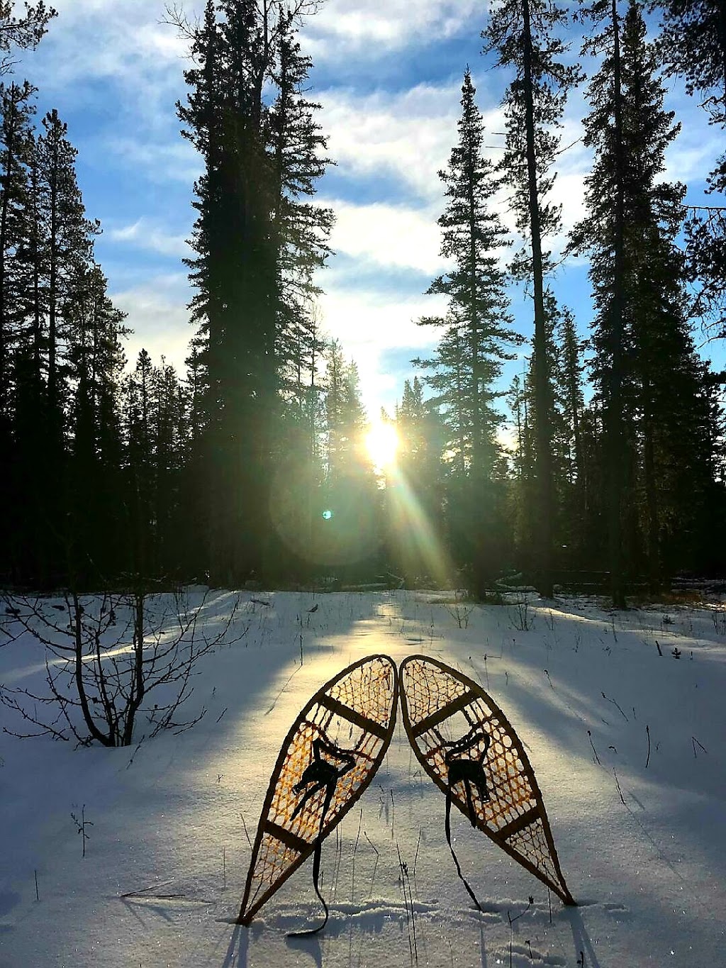Expanse Cottages | 305 Shunda Creek Rd, Nordegg, AB T0M 2H0, Canada | Phone: (403) 550-4682
