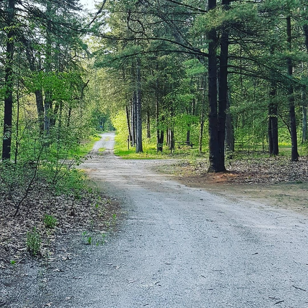 Turkey Point Provincial Park | 194 Turkey Point Rd, Turkey Point, ON N0E 1T0, Canada | Phone: (519) 426-3239