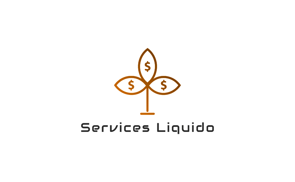 Services Liquido | 113 Rue Soucy, Québec, QC G1B 1N3, Canada | Phone: (418) 667-6929