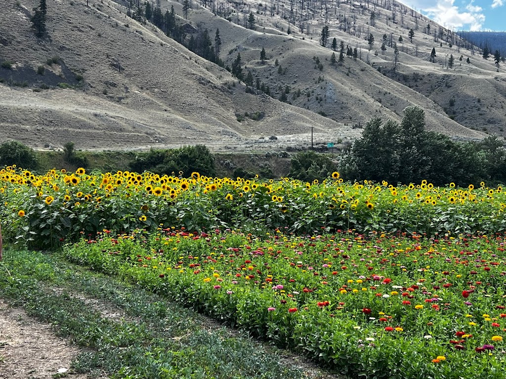 Horstings Farm Market | 2540 Cariboo Hwy #97, Cache Creek, BC V0K 1H0, Canada | Phone: (250) 457-6546