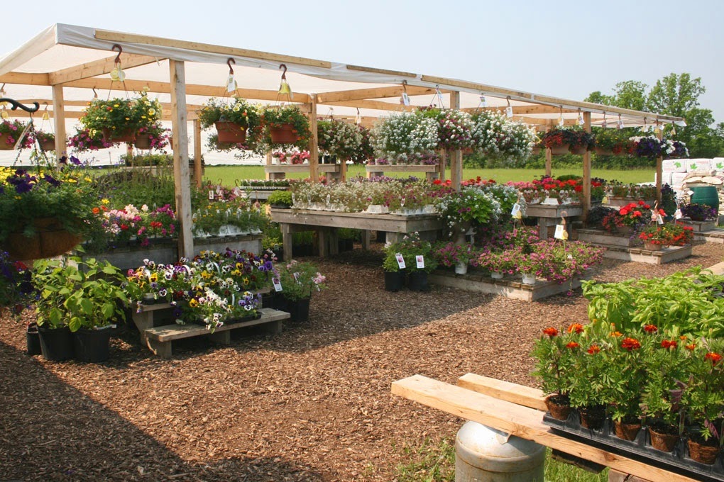 Prosperity Acres | 2666 Harmony Rd, Belleville, ON K8N 4Z6, Canada | Phone: (613) 477-1908