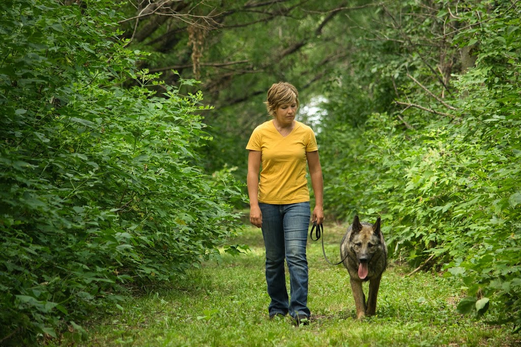 Calm Canine Dog Training | Rd 31W, Graysville, MB R0G 0T0, Canada | Phone: (204) 242-4883