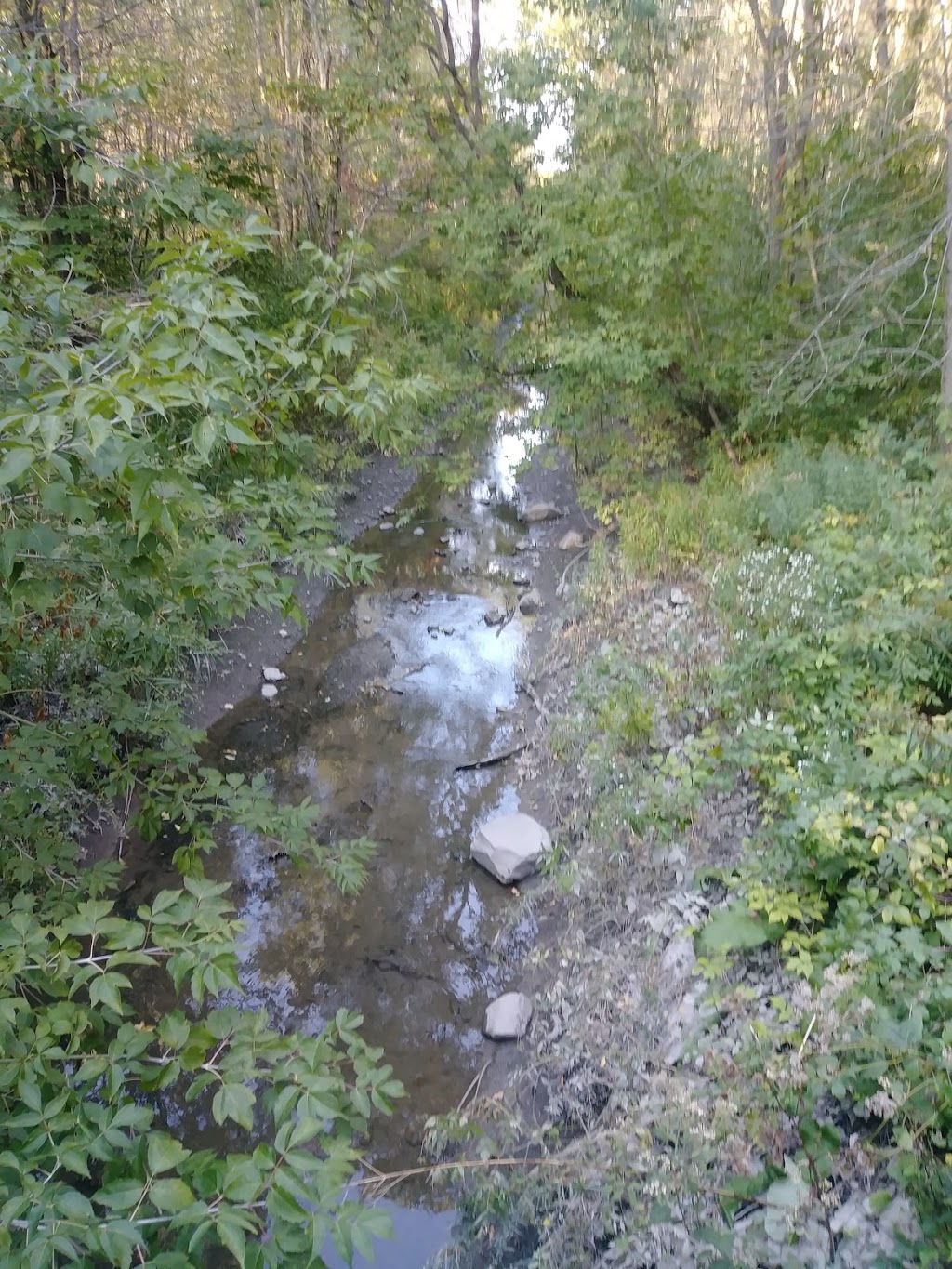 Réserve naturelle du Boisé-Du Tremblay | Rue J.-A.-Bombardier, Boucherville, QC J4B 8P1, Canada