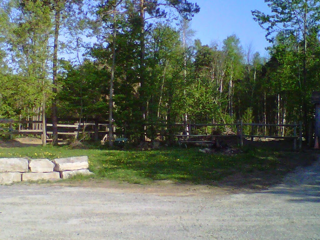 Oak Springs Farm | 1060 Sandy Hook Rd, Pontypool, ON L0A 1K0, Canada | Phone: (705) 344-9914
