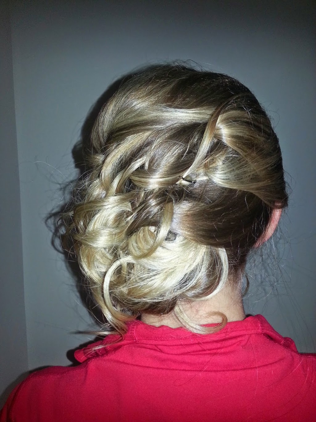 Elegance Express | 2727 Grand Canal St, Nepean, ON K2J 0T1, Canada | Phone: (613) 761-8272
