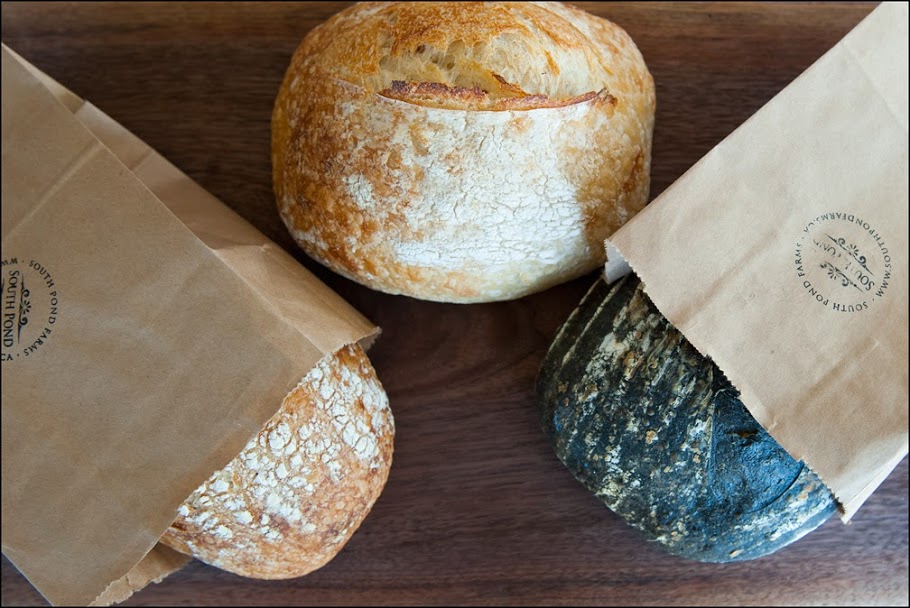 South Pond Farms | 1020 Gray Rd, Pontypool, ON L0A 1K0, Canada | Phone: (705) 277-1649