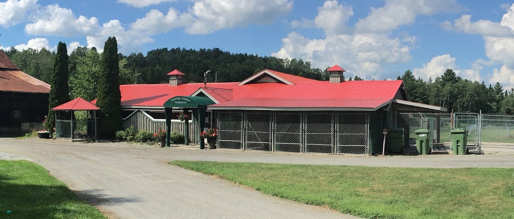 Auberge Canine Goldylock | 300 Chemin de la Rivière, Saint-François-Xavier-de-Brompton, QC J0B 2V0, Canada | Phone: (819) 845-2152