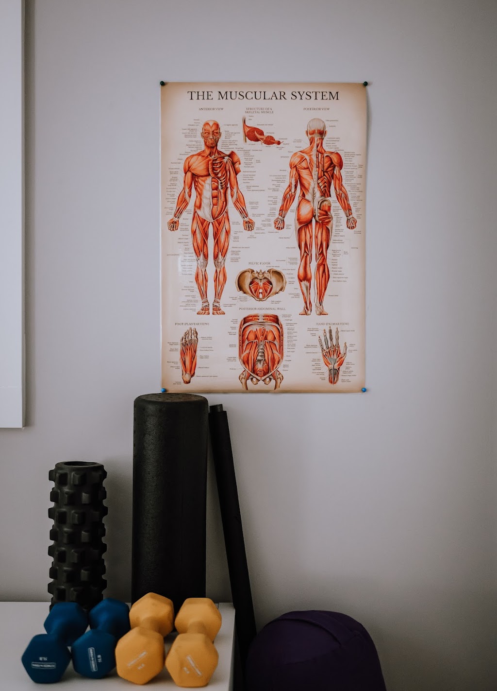 Kaya Fitness | Hammond Rd, Pitt Meadows, BC V3Y 1L4, Canada | Phone: (604) 754-9448