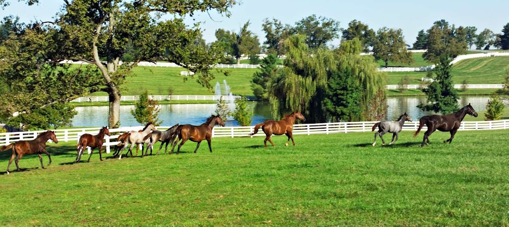 Tani Farms | 2202 Governors Rd, Hamilton, ON L0R 1T0, Canada | Phone: (905) 253-7534