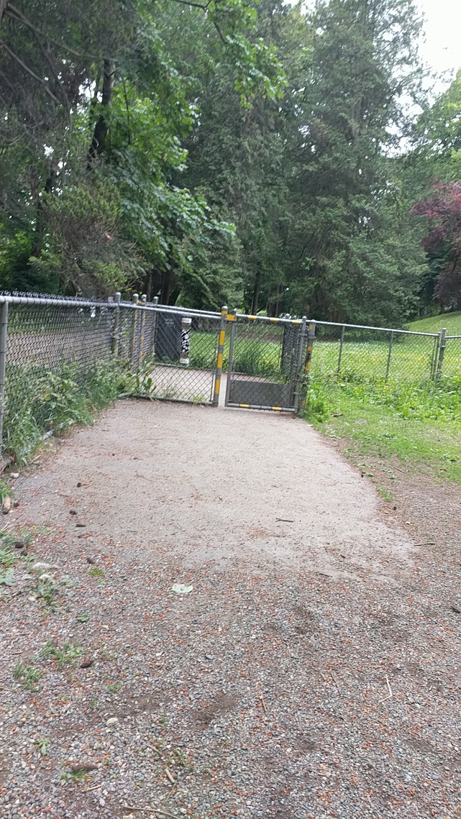 Queens Park Dog Park | Unnamed Road, New Westminster, BC V3L, Canada