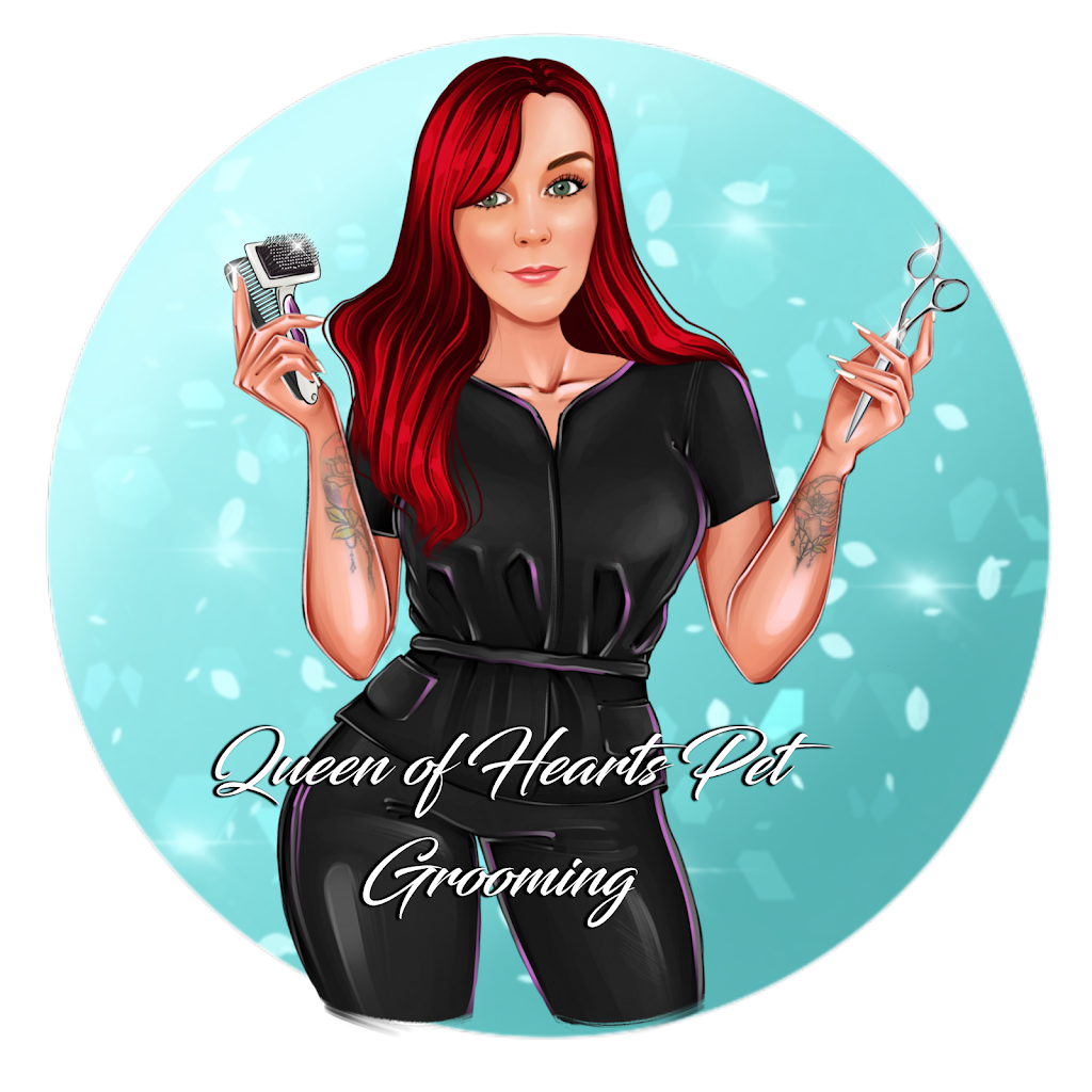 Queen of Hearts Pet Grooming | 19005 Township Rd 520, Tofield, AB T0B 4J0, Canada | Phone: (587) 594-5748