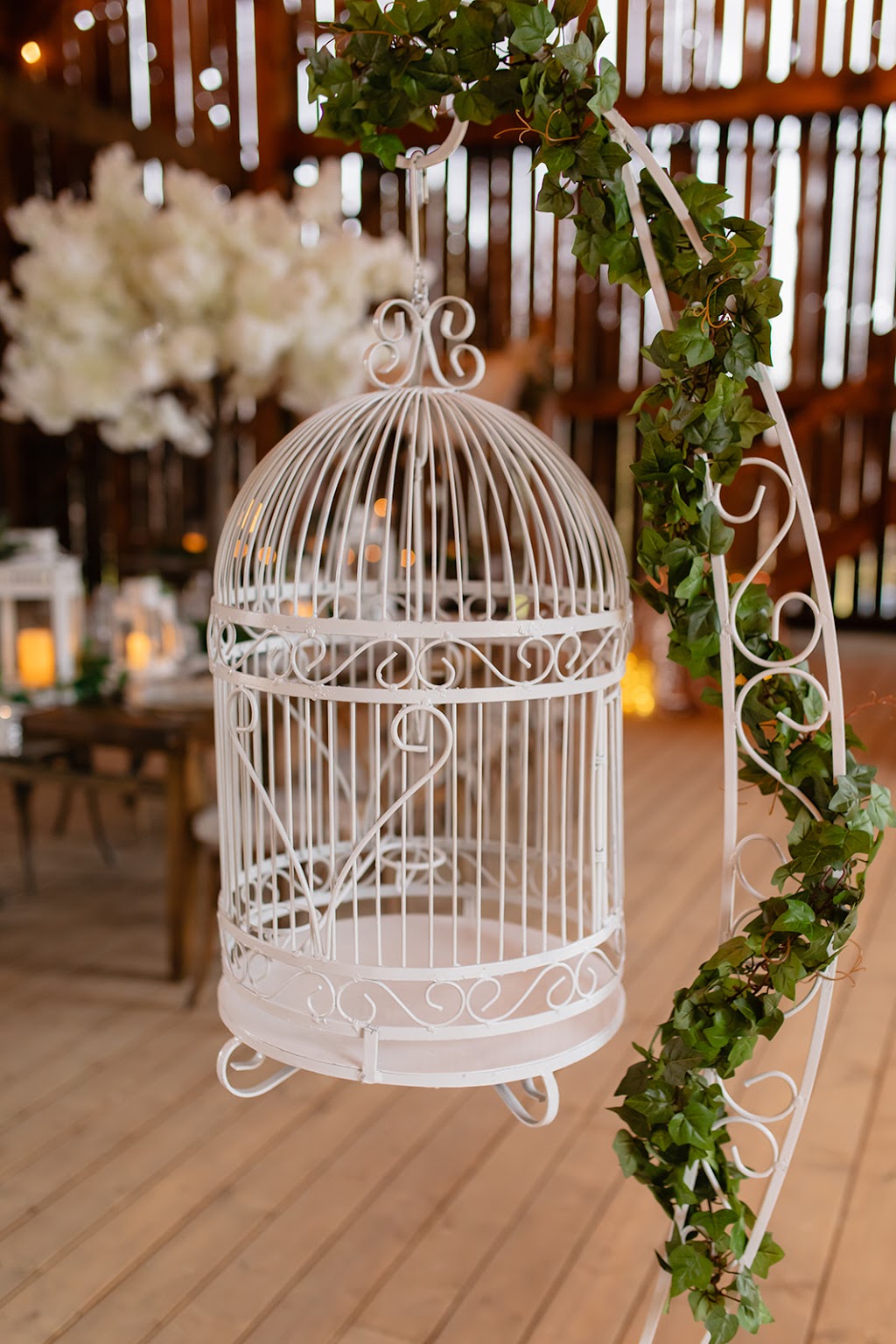 Magic Hill Farm Inc. | 13953 Ninth Line, Whitchurch-Stouffville, ON L4A 0X7, Canada | Phone: (647) 203-5800